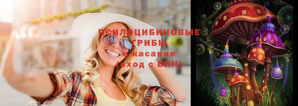 шишки Абаза