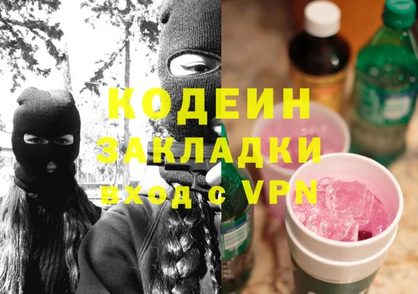шишки Абаза