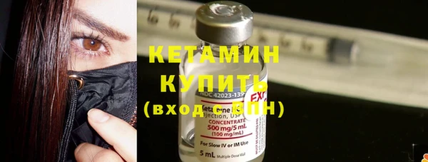 шишки Абаза