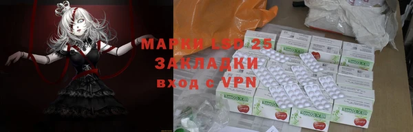 шишки Абаза