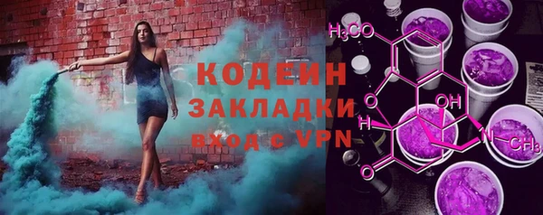шишки Абаза