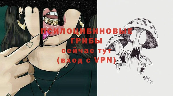 шишки Абаза